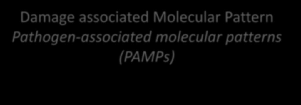 Damage associated Molecular