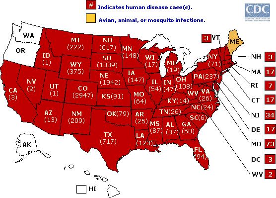 West Nile Virus cases reported to CDC in 2003 Note that the number of cases dropped off in Colorado in 1004 compared to 2003.