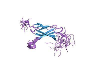 Tenascin Extracellular matrix glycoprotein 4 forms C, R, W, X