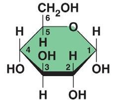 12. So, as a quick review, all of these sugars have the same chemical formula: C6H12O6.