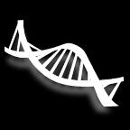 Nucleic Acids Contain genetic