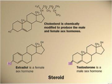 Different steroids created by attaching different