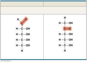 have an internal carbonyl (ketone) group Aldose (Aldehyde Sugar) Ketose (Ketone Sugar) Pentoses: 5-carbon