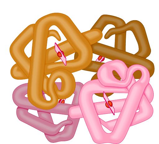 polypeptide protein can be one or more