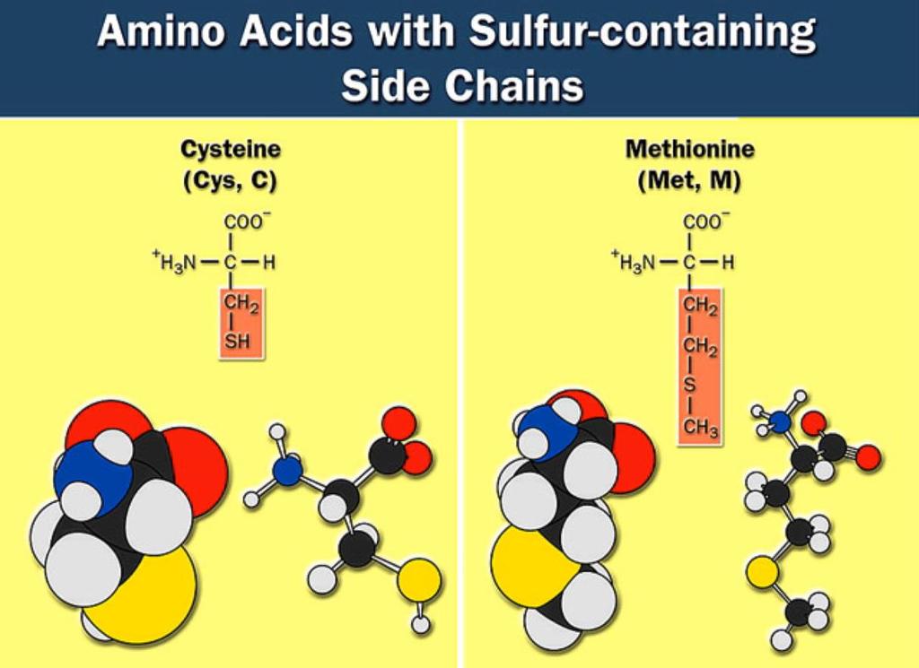 Sulfur containing