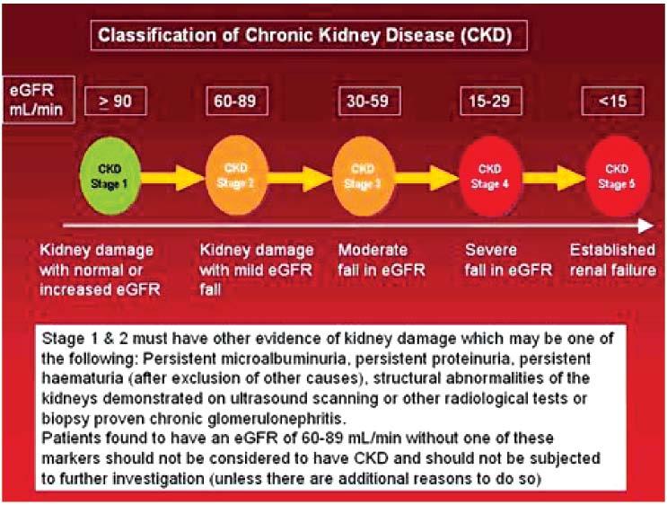 in India, there is a rising incidence and prevalence of kidney failure, with pr outcomes. The most common causes of CKD are Diabetes mellitus, systemic hypertension and chronic Glomerulonephritis.