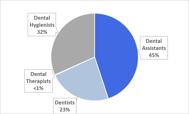 13 Minnesota s oral health workforce Source: Board of Dentistry, December 2013.