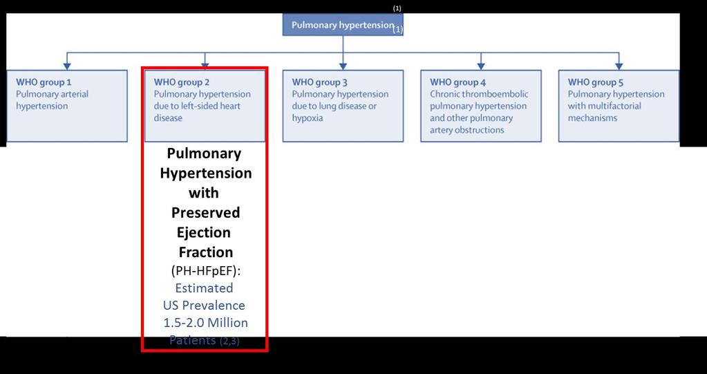 Pulmonary Hypertension WHO Classification Levosimendan Development Focused on Group 2 7 1) Hoeper, Marius M., et al. "A global view of pulmonary hypertension." The Lancet Respiratory Medicine 4.