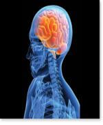 Possible Seizure Triggers In 70% of epilepsy cases there is no known cause.