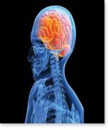 Possible Causes of Epilepsy Head trauma Brain tumor and stroke Infection and maternal injury In 70% of epilepsy cases there is no known cause.