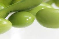 Soy protein provide high quality plant protein without the added calories of animal