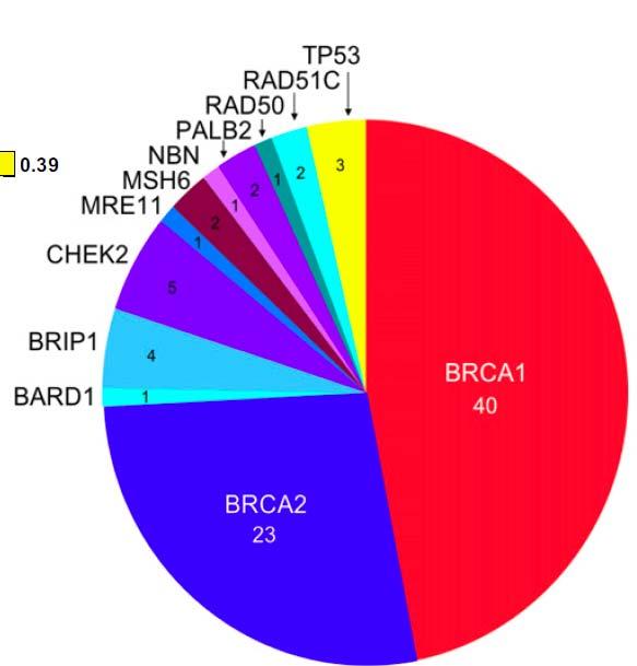 Many Genes Beyond BRCA1/2 Ovarian Cancer