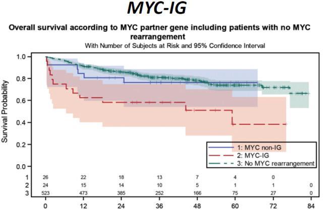 Not all MYC translocated DLBCL are the same. Modulators of prognosis P=0.04 MYC - MYC+ non-ig MYC+IG MYC partner matters?