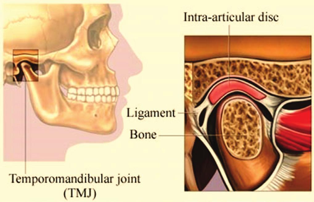 A very serious temporomandibular disorder may develop as a result of either of these causes. Treatment for a temporomandibular disorder begins with the patient.