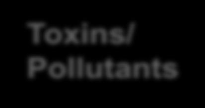 Toxins/ Pollutants Light