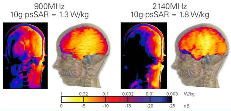 Underlying Mechanisms of RF EMF Sleep EEG Effects: Site of Interaction