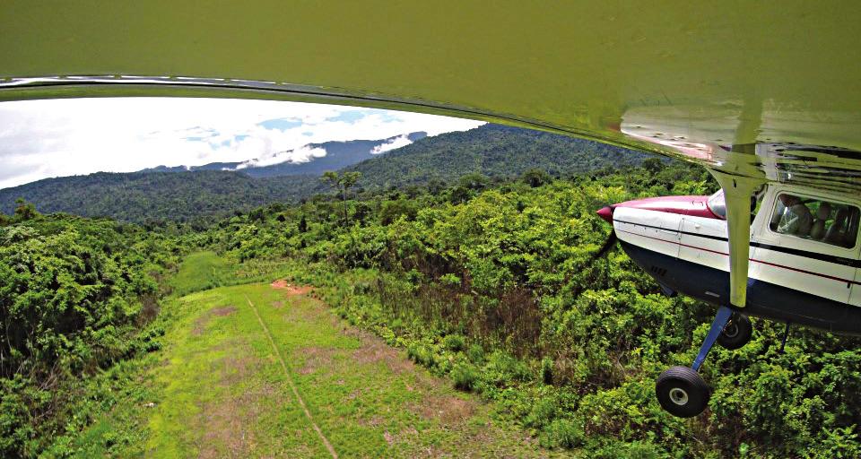 The Venezuela South focus team reported on their efforts to rehabilitate old, overgrown landing strips to improve the program s reach.