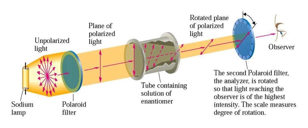 Important: the handedness of an optically active compound, indicated by its D- or L- label, and the direction of rotation (left or right) of plane-polarized light are not connected.