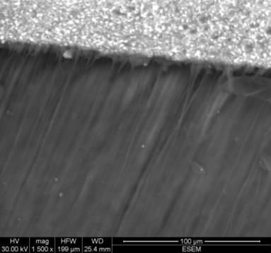 Figure 6: XP with dry dentin (G3) a-f: ESEM micrographs showed a distinct adhesive layer, infiltrated hybrid layer with areas of