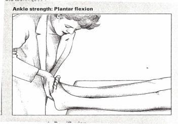 6.ankle and feet Plantar flexion: Clients resist while you attempt to flex the foot Dorsiflexion: Client resist while you attempt to dorsiflex the foot Clinical TIP Do not force the part beyond its