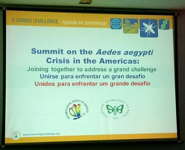 Report Summit on the Aedes aegypti Crisis in the Americas: Joining Together to Address a Grand Challenge Date: 03/13/2016 Location: Maceio, Alagoas -Brazil Total attendees: 60-70 Countries in
