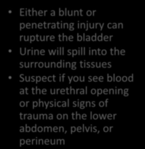Injury of the Urinary Bladder Either a blunt or
