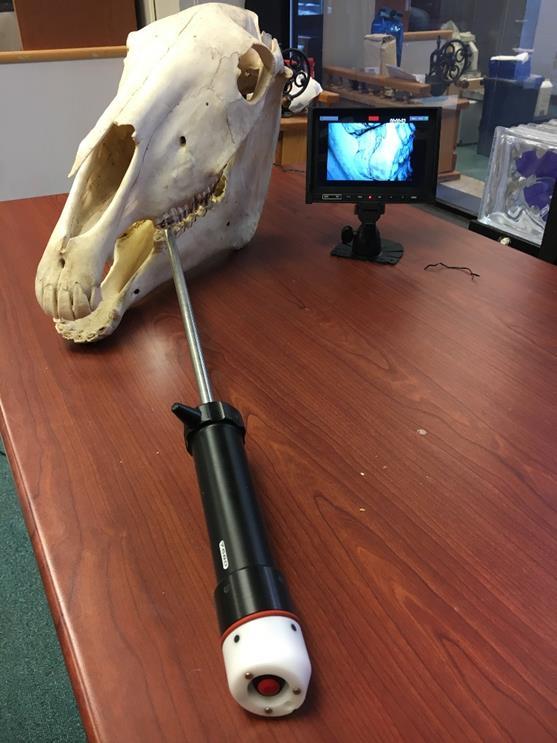 Dental Stick Detailed exam 90 degree camera