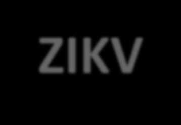 Guillain-Barré Syndrome (GBS) and ZIKV Current CDC research suggests GBS is associated with ZIKV; however CDC states only a small proportion of people with recent ZIKV get GBS Most
