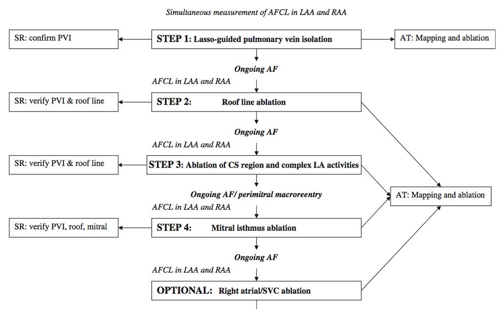 Stepwise Ablation Approach for Chronic AF O Neill MD et al.