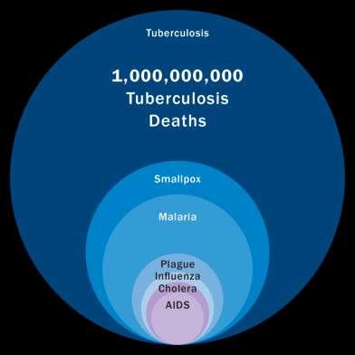 TB is Mother Nature s number one killer over the past 200 years TB is spread through the air like a common cold Nearly 8.5 million people become sick with TB each year.
