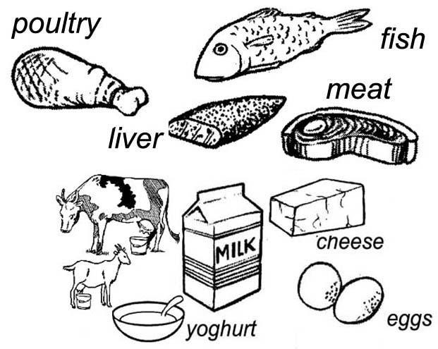 Key message 4: Animal foods are specially good for
