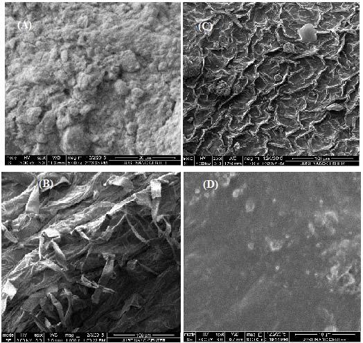 Table-1. Elemental analysis concentrations (ppm) of irrigation water and soil used for growing tomato plants. Figure-1. SEM image of (A) roots, (B) stems, (C) leaves and (D) fruits.