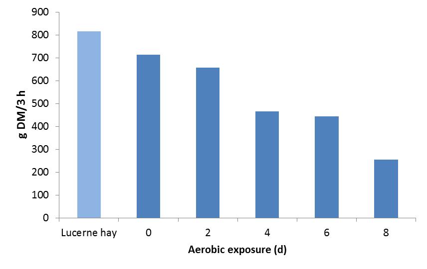 Aerobic exposure of maize silages Dry matter intake of lucerne hay and maize silages after 0-8 days of exposure to air shown by six goats (n=30) Reason for