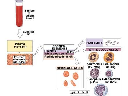 (carry Oxygen) WBCs (immunity) Platelets (cell fragments involved in clotting) Whole Blood Plasma Makes up 50 60% of blood volume