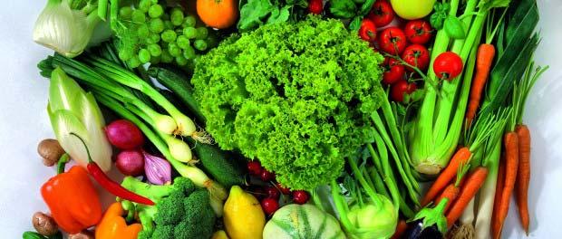 Vegetarian Diets Focus on increasing plant based foods and reducing animal products Environment, ethics,