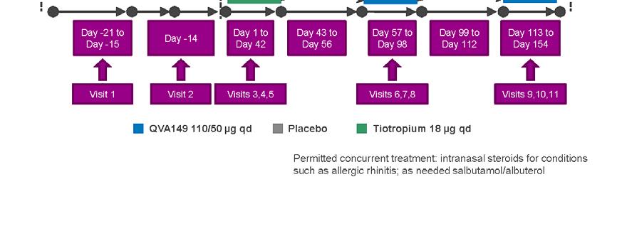 110/50 µg, placebo or tiotropium.