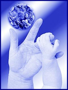 Specialists In Reproductive Medicine & Surgery, P.A. www.dreamababy.com Fertility@DreamABaby.