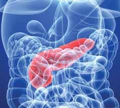 4 Auto-Transplants May Relieve Pancreatitis Pain Patients who have long-term chronic pancreatitis experience severe pain. Nerve blocks and pain medication may provide some relief.