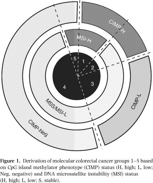 Heterogeneous colon cancer pathways Lynch syndrome Serrated polyps: sporadic MSI-H Serrated polyps: raf mutation FAP,