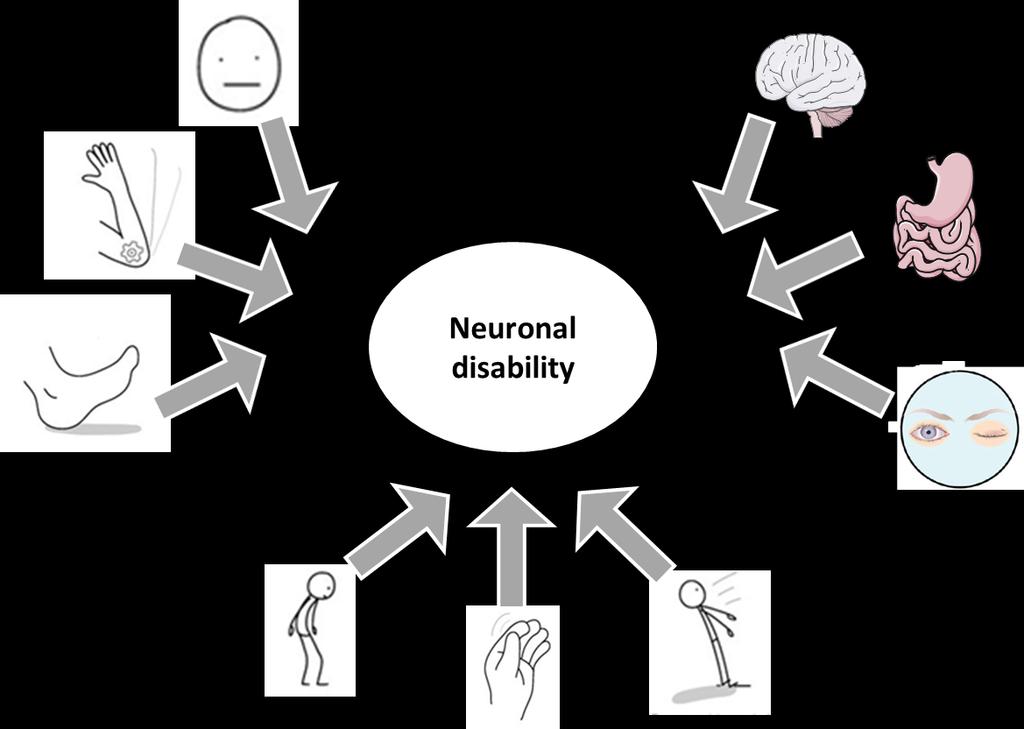 Item Response Theory IRT Methods: - Each item of the MDS-UPDRS is a surrogate measure of the neuronal disability - Relate the probability of the score