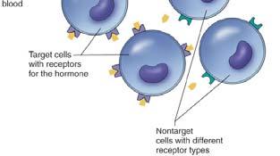 receptors Hormones are typically carried from