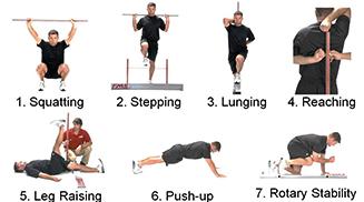FUNCTIONAL MOVEMENT SCREEN Deep Squat, Hurdle Step, Rotary Stability, Stability Pushup, Active Straight Leg Raise, In- Line Lunge, and shoulder Mobility Each movement is scored 0-3 according to