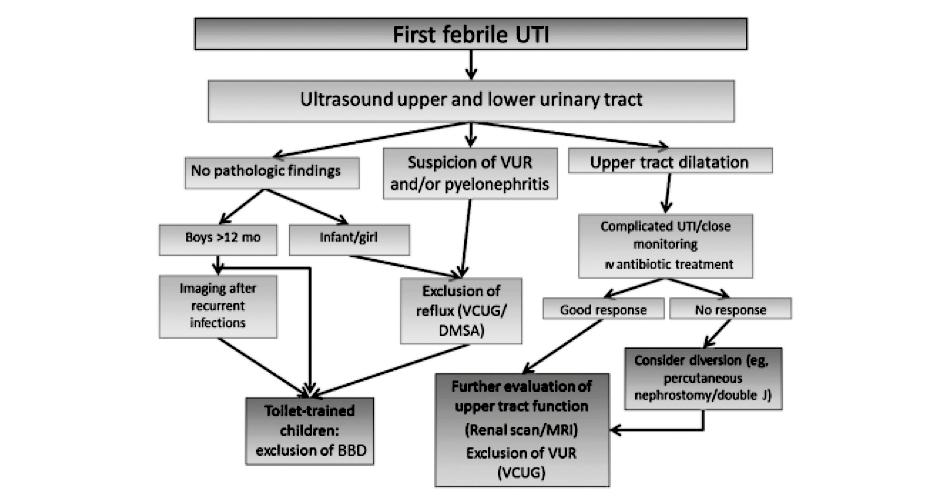 Chapter 9 Figure 1: Flow chart from EAU/ESPU guideline Algorithm for assessment and treatment of first febrile urinary tract infection.