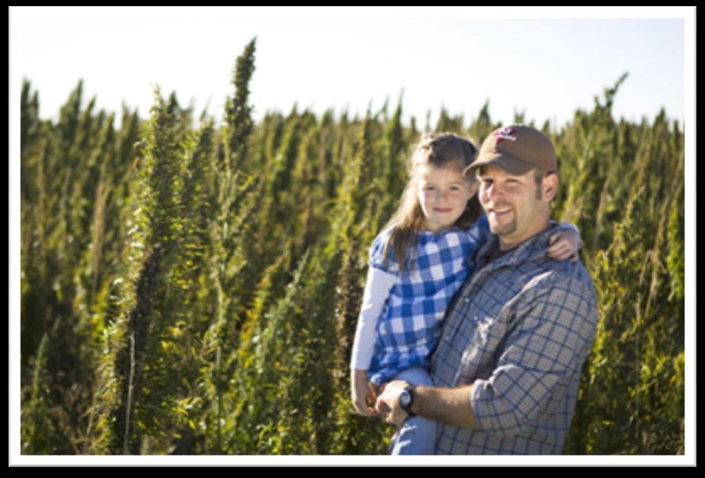 Legalizing Industrial Hemp in the States NCSL Agricultural Task Force
