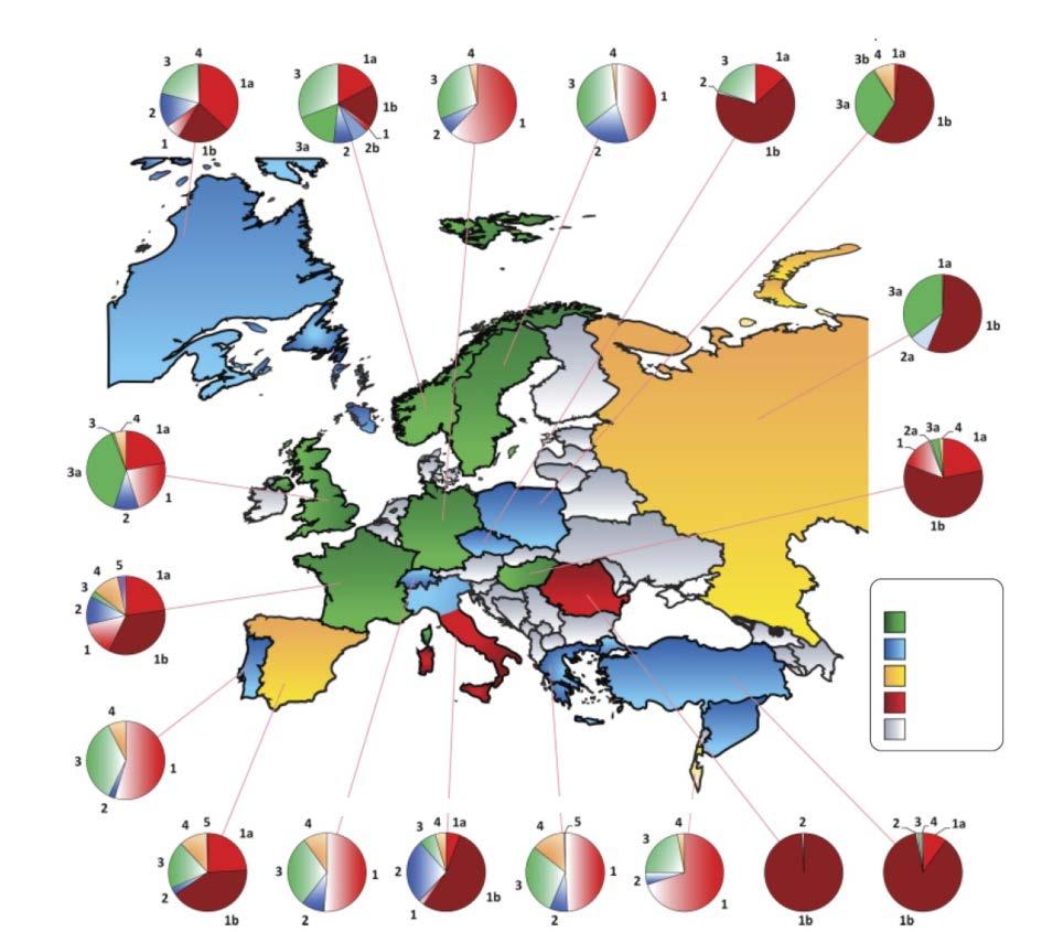 Geographical distribution and prevalence Genotype 2 and 3 in Europe Canada Norway Germany Sweden Czech Republic Poland Russia UK Hungary France Portugal