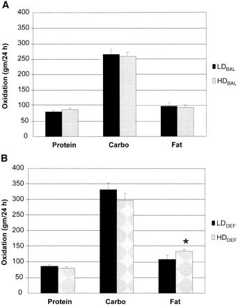 Calcium intake and fat oxidation