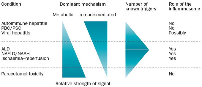 Inflammasomes as systems integrators in low-signal