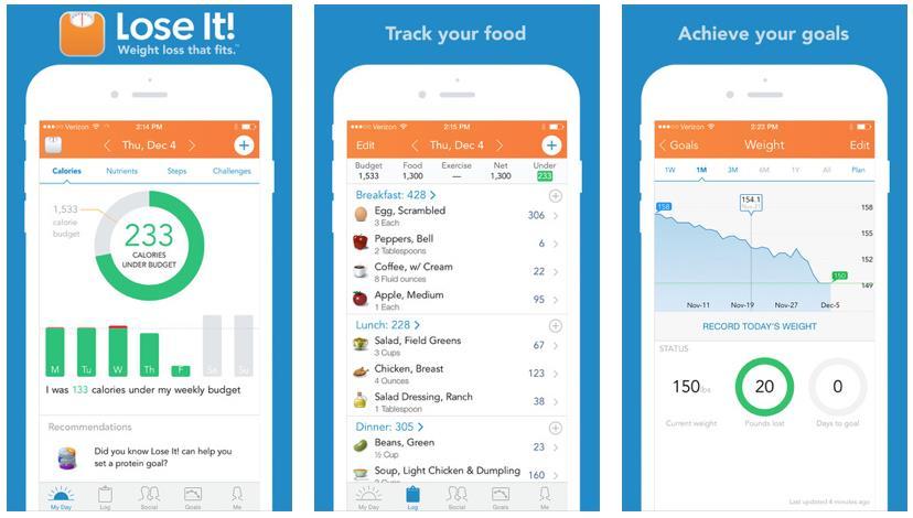 Helpful Food Journal Tracking Apps Lose It!