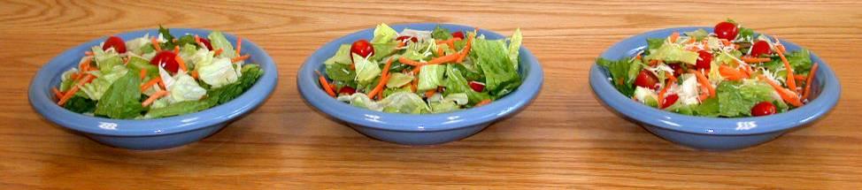 Rolls, Roe, & Meengs, J Am Dietetic Assn, 104: 1570-1576, 2004 Eating a large low-energy-dense salad reduced energy