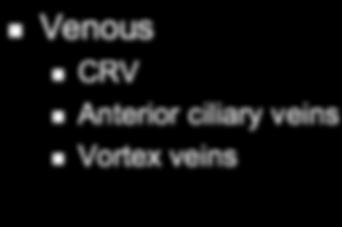 Venous CRV Retinal Venous Supply Anterior